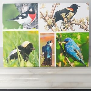"Country Songbirds" Matte Finish 4.25" x 5.5" Blank Photo Note Card